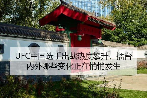 UFC中国选手出战热度攀升，擂台内外哪些变化正在悄悄发生